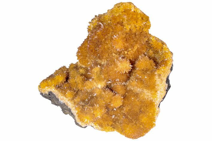 Intense Orange Calcite Crystal Cluster - Poland #228293